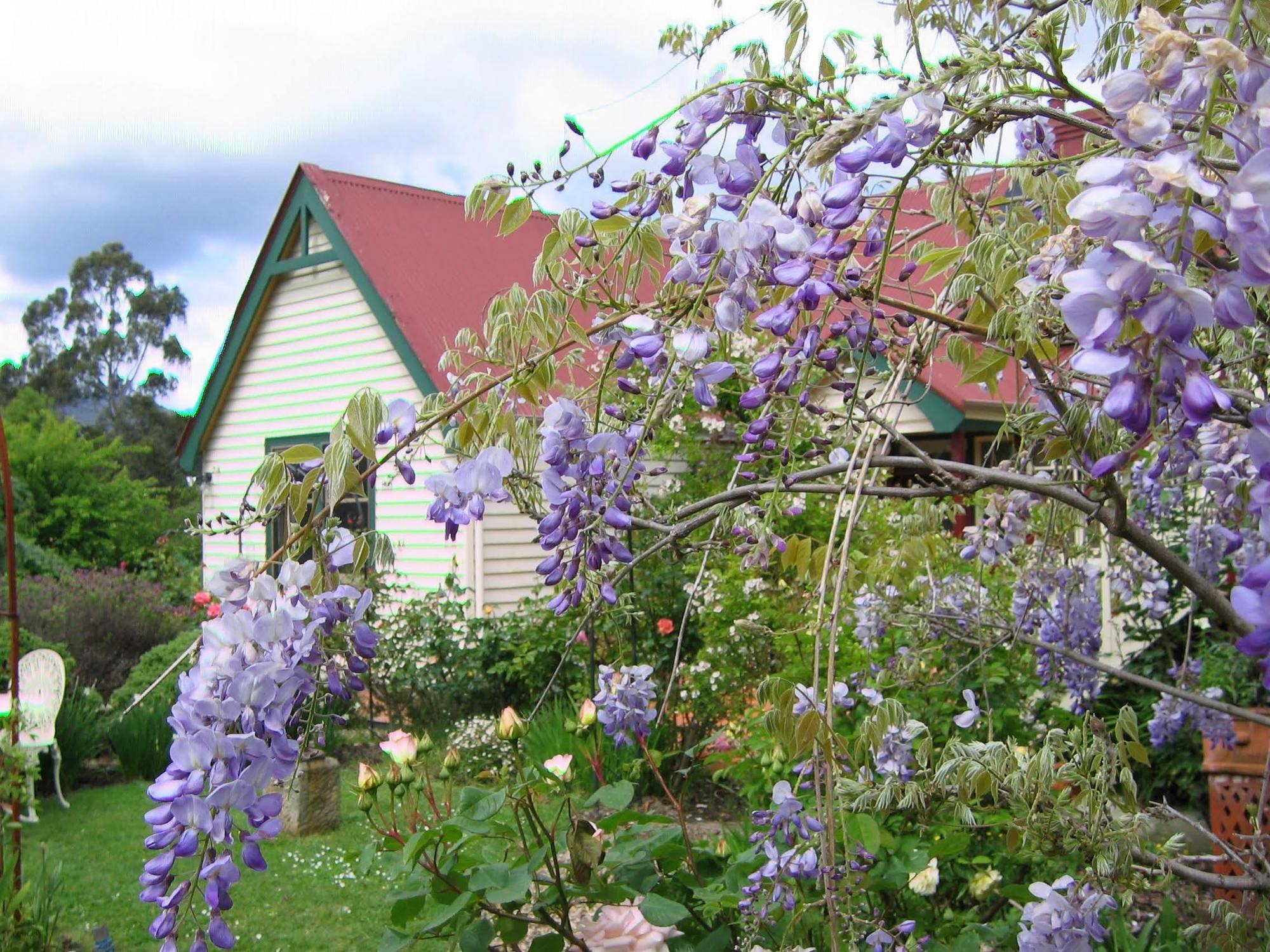 Crabtree House Bed & Breakfast Grove Екстериор снимка