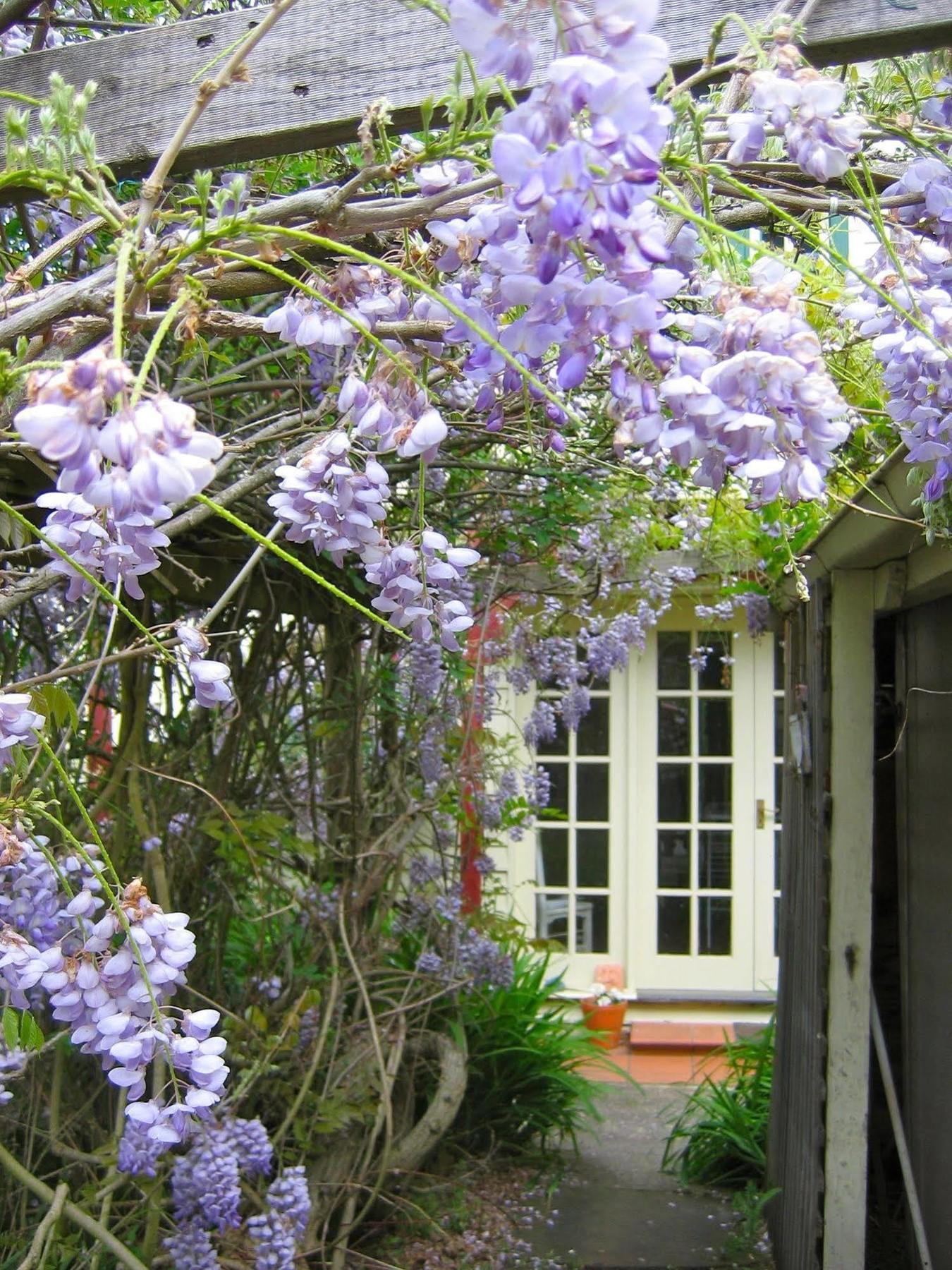 Crabtree House Bed & Breakfast Grove Екстериор снимка