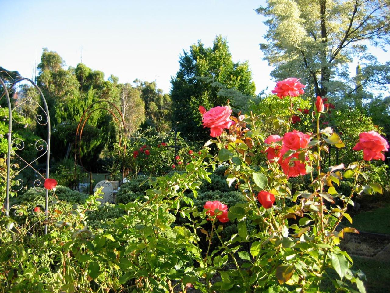 Crabtree House Bed & Breakfast Grove Екстериор снимка