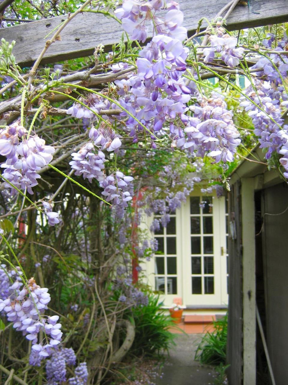 Crabtree House Bed & Breakfast Grove Екстериор снимка